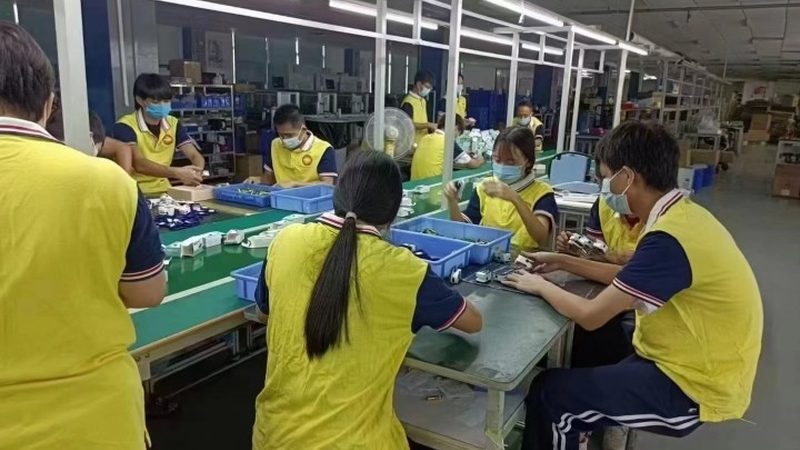 搬家宠物托运，航空箱尺寸选择有讲究